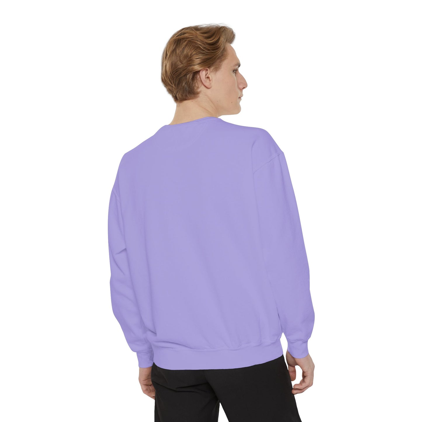 Colorful Lion Sweatshirt — Vibrant Rainbow Mane Crewneck